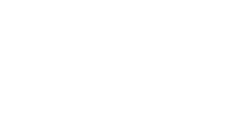 Tapizados New Cars